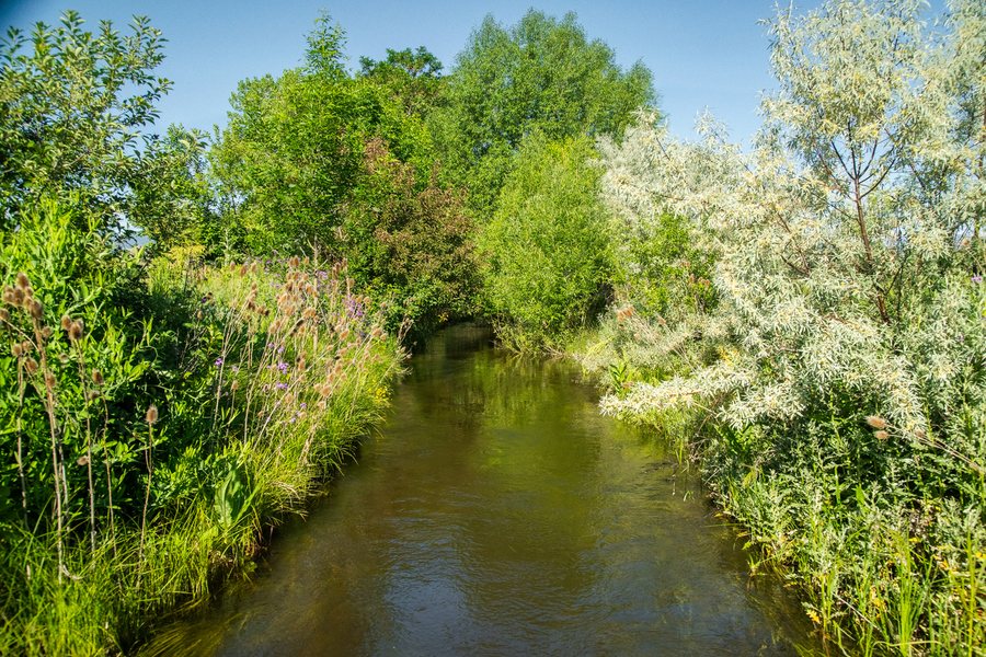 Year-round spring creek running through South Boulder Road acreage